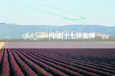 梅州中国十七块金牌