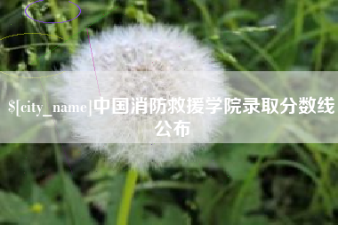 梅州中国消防救援学院录取分数线公布