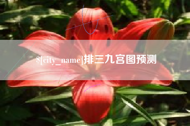 梅州排三九宫图预测