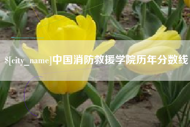 梅州中国消防救援学院历年分数线
