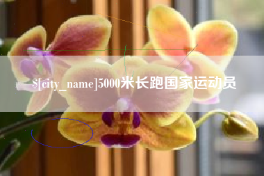 梅州5000米长跑国家运动员