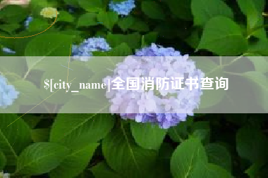 梅州全国消防证书查询