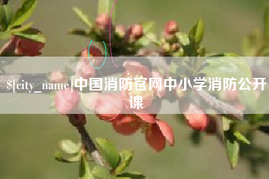 梅州中国消防官网中小学消防公开课