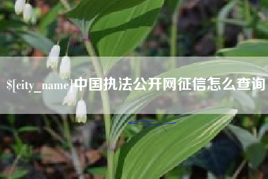 梅州中国执法公开网征信怎么查询