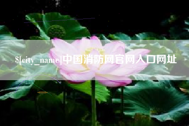 梅州中国消防网官网入口网址