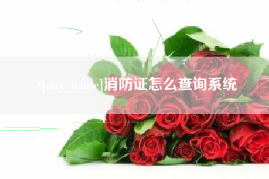 梅州消防证怎么查询系统