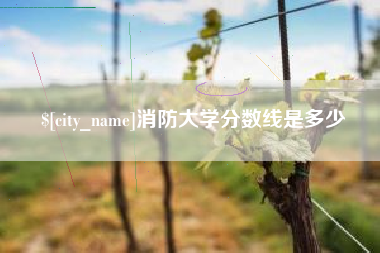 梅州消防大学分数线是多少