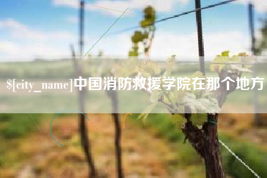 梅州中国消防救援学院在那个地方