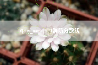 梅州2021消防分数线