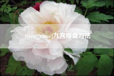 梅州九宫排盘方法