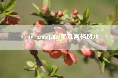 梅州2021年九宫格风水