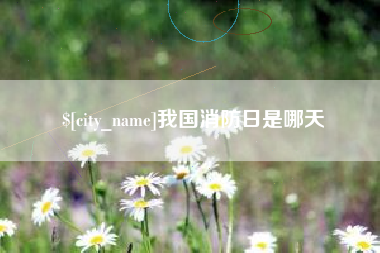 梅州我国消防日是哪天