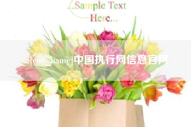 梅州中国执行网信息官网