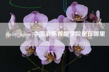 梅州中国消防救援学院是在哪里