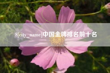 梅州中国金牌排名前十名