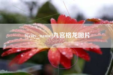 梅州九宫格龙图片