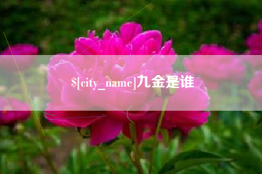 梅州九金是谁