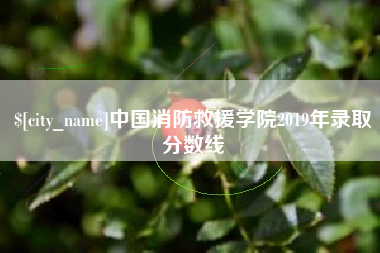 梅州中国消防救援学院2019年录取分数线