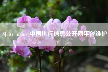 梅州中国执行信息公开网平台维护
