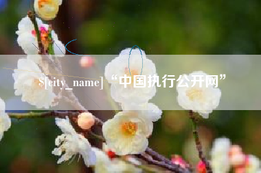 梅州“中国执行公开网”