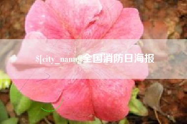 梅州全国消防日海报