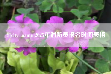梅州2025年消防员报名时间表格
