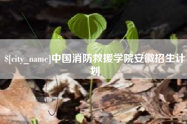 梅州中国消防救援学院安徽招生计划