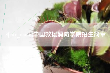 梅州中国救援消防学院招生简章