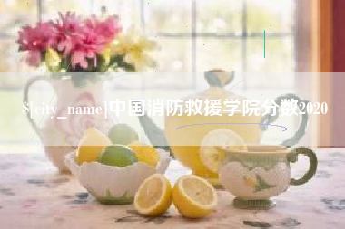 梅州中国消防救援学院分数2020