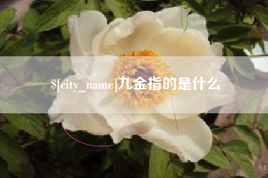 梅州九金指的是什么