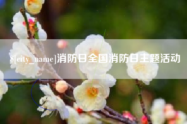 梅州消防日全国消防日主题活动