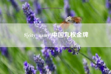 梅州中国九枚金牌