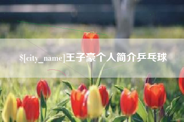 梅州王子豪个人简介乒乓球