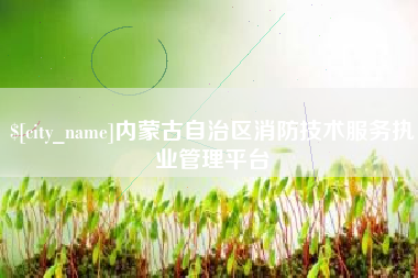 梅州内蒙古自治区消防技术服务执业管理平台