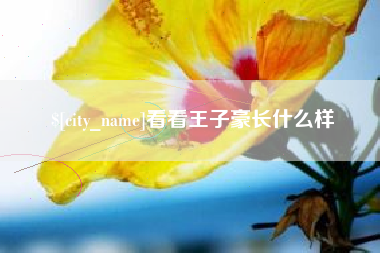 梅州看看王子豪长什么样