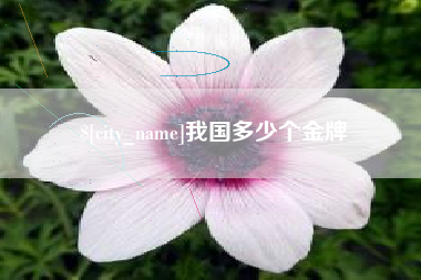 梅州我国多少个金牌