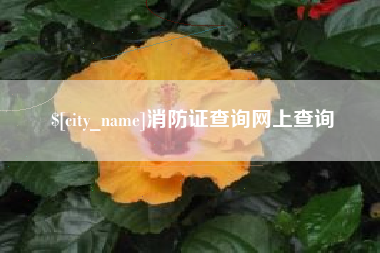 梅州消防证查询网上查询