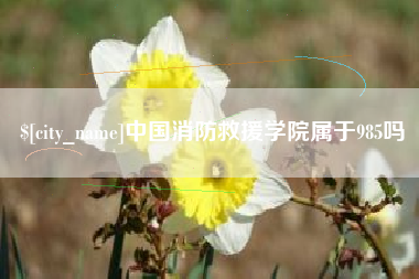 梅州中国消防救援学院属于985吗