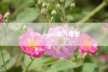 梅州第九金是