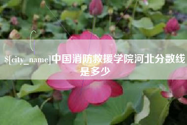 梅州中国消防救援学院河北分数线是多少