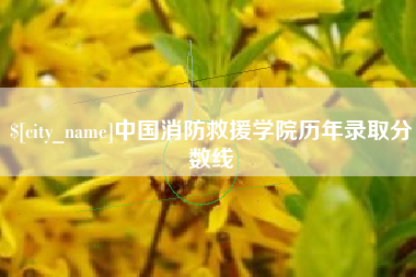 梅州中国消防救援学院历年录取分数线