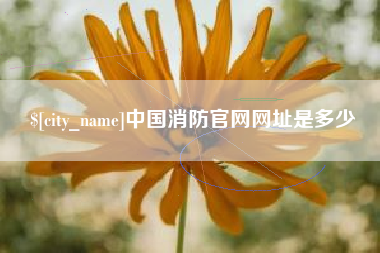 梅州中国消防官网网址是多少