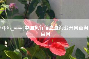 梅州中国执行信息查询公开网查询官网