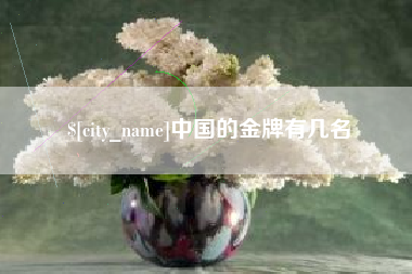 梅州中国的金牌有几名