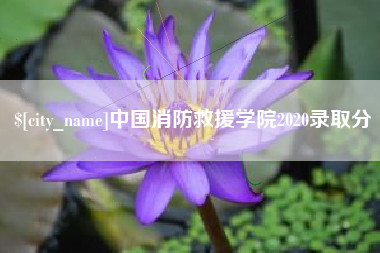 梅州中国消防救援学院2020录取分