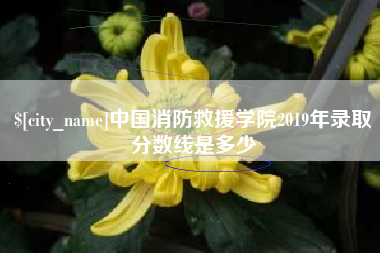梅州中国消防救援学院2019年录取分数线是多少