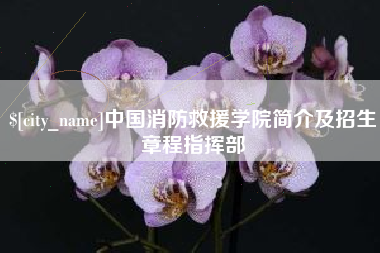 梅州中国消防救援学院简介及招生章程指挥部