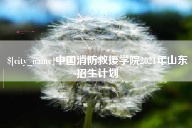 梅州中国消防救援学院2021年山东招生计划