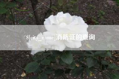 梅州消防证的查询