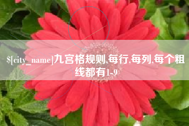 梅州九宫格规则,每行,每列,每个粗线都有1-9